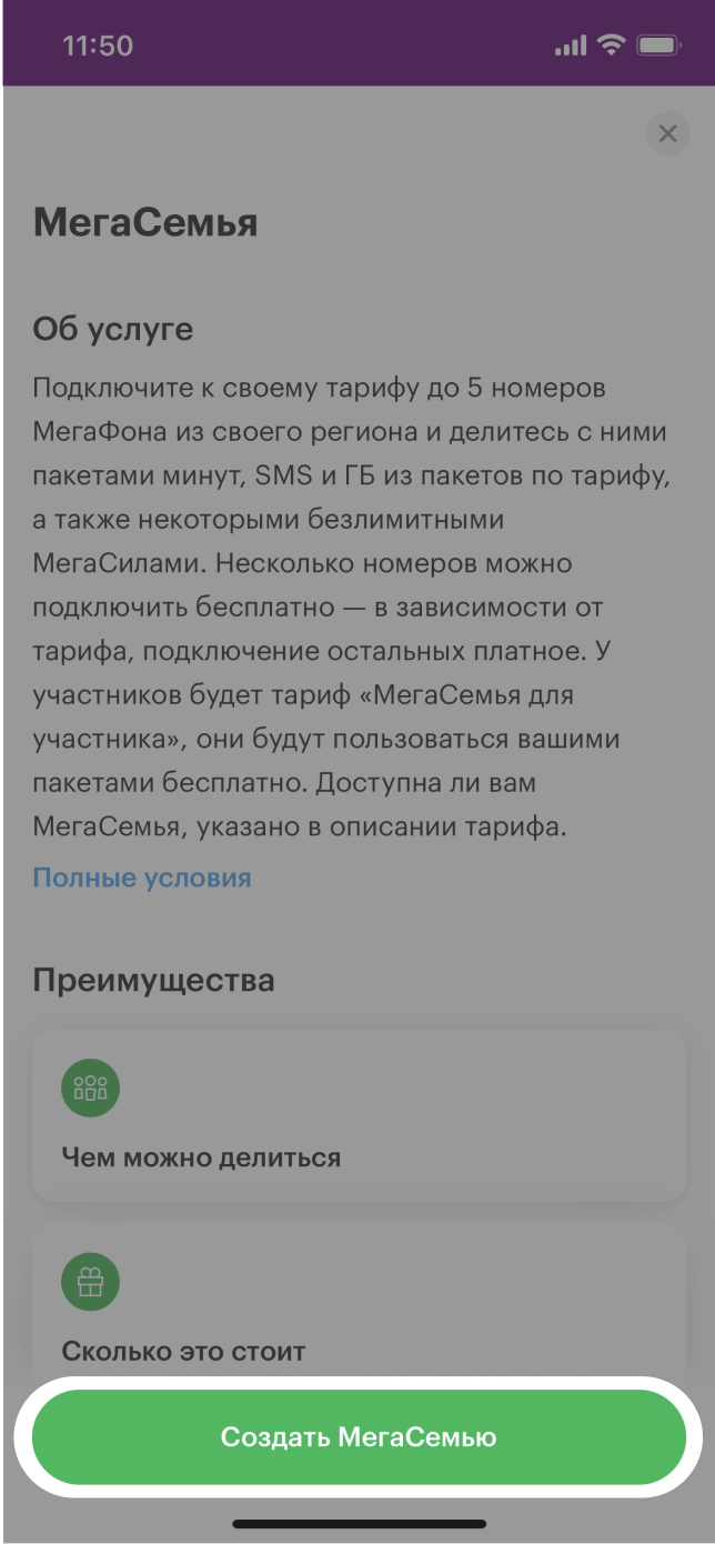 МегаСемья услуга от МегаФона: описание, условия подключения Республика  Башкортостан